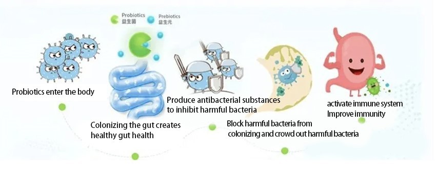 probiotics for children0 probiotics for children0