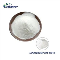 Бифидобактерия Breve 300b
