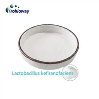 Сублимационная сушка Lactobacillus Kefiranofaciens