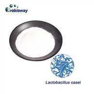 Высокая концентрация Lactobacillus Casei