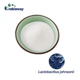 Lactobacillus Johnsonii LBJ 456 Порошок