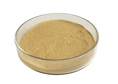 Порошок Bacillus Coagulans: характеристики штамма, функциональные преимуществ...